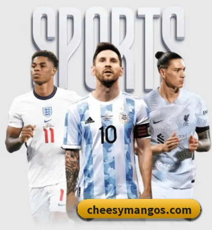 开云手机站登录入口 APP